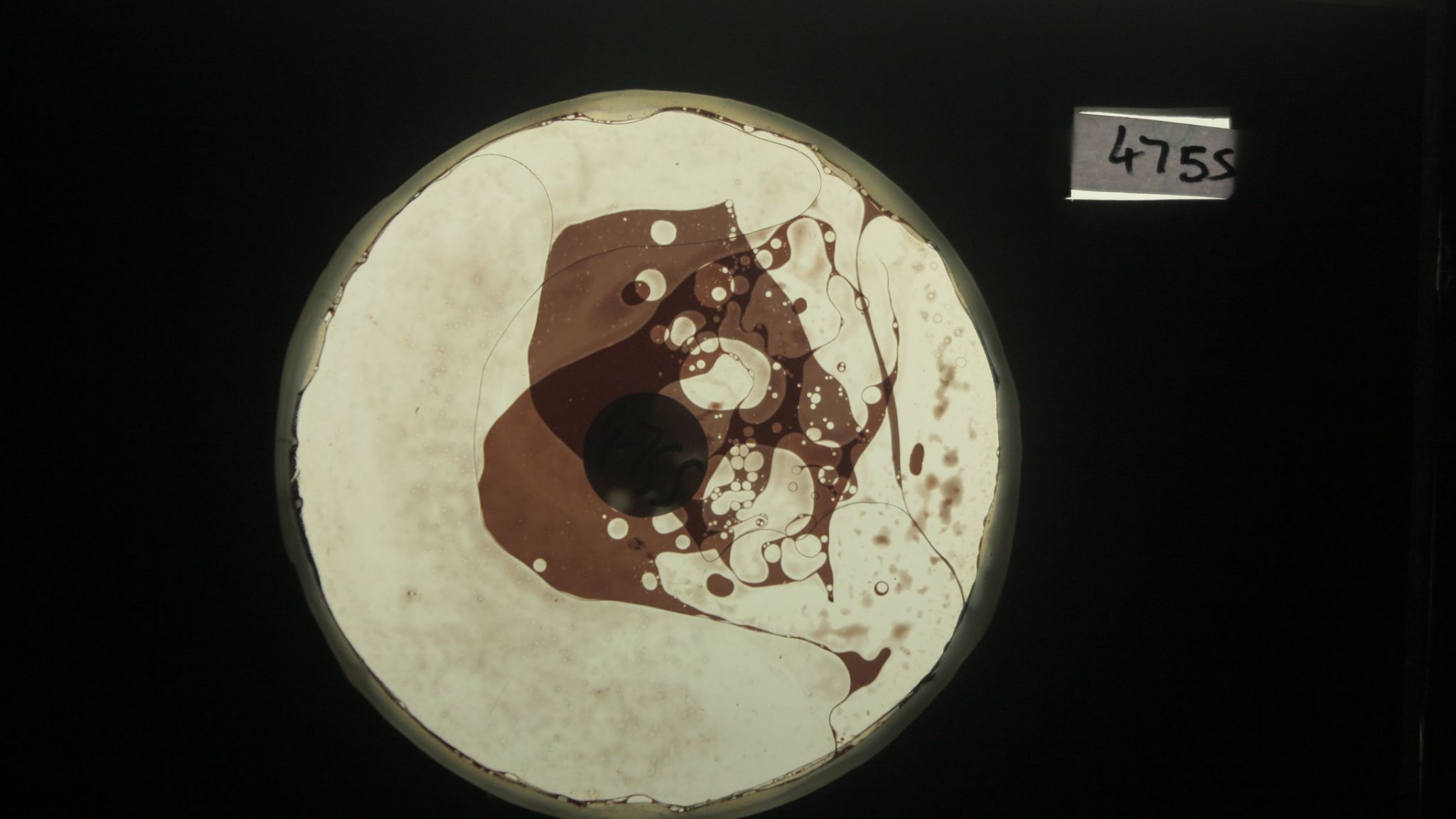 BV4755 bubble vision oil wheel